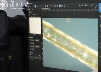 Chinese Researchers Develop First Fiber Chip for Wearable Devices