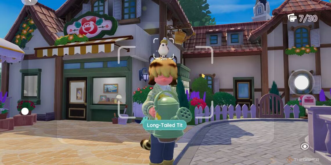 Complete Your Collection: Where to Find All Birds in Heartopia