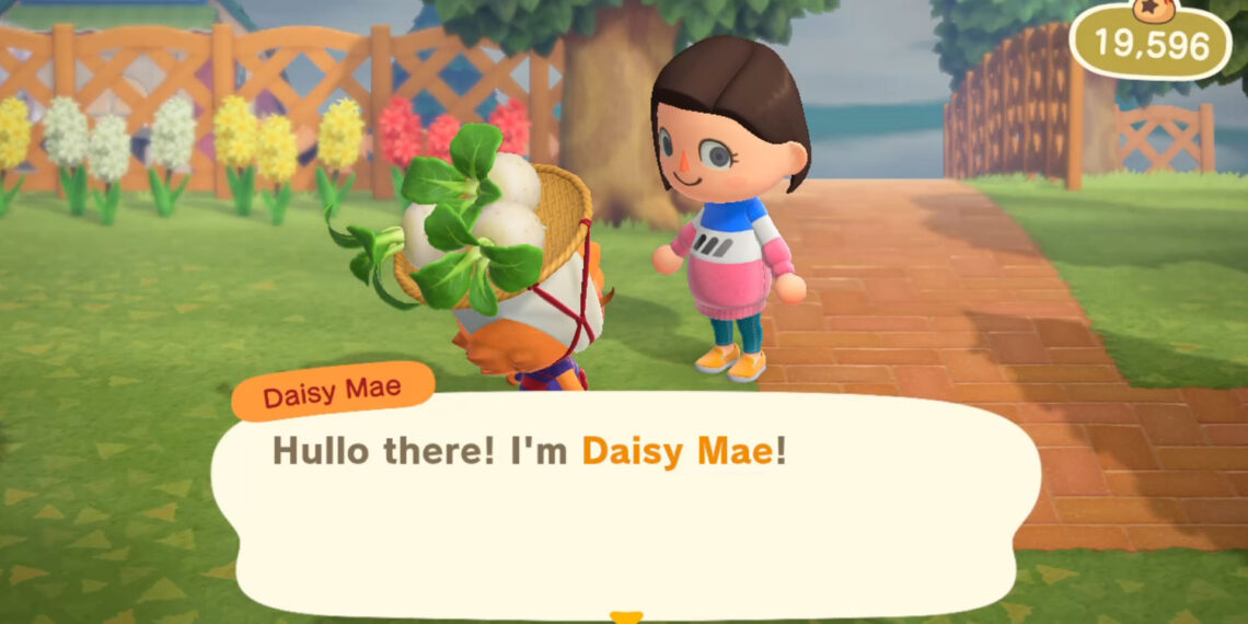 Understanding Turnips in Animal Crossing: New Horizons