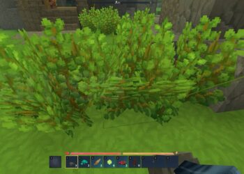 Guide to Obtaining Hytale Plant Fiber