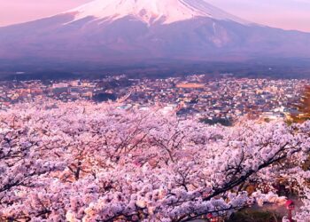 Best places to visit in Asia for 2026

1.  Mount Fuji, Japan
2.  Tokyo, Japan
3.