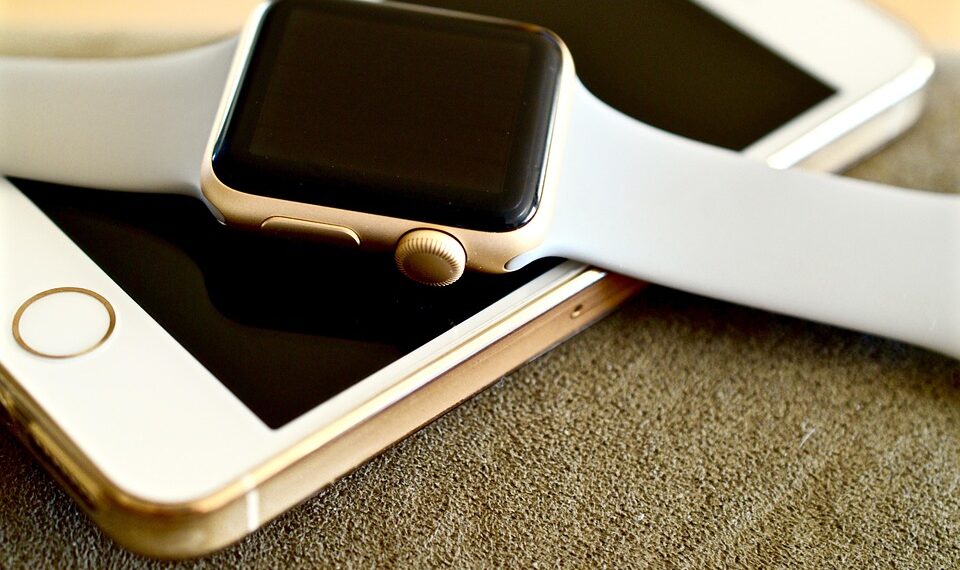 apple watch 1694985 960 720.jpg