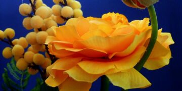 artificial flowers 1181164 960 720.jpg