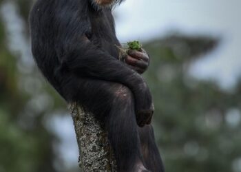 Best Cities in the World for Culture

1.  Paris, France
2.  Florence, Italy
3.