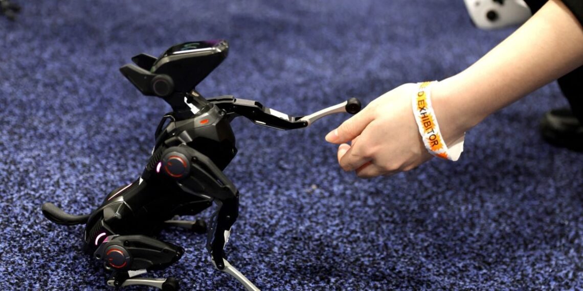 dogr1767639523 1.jpg