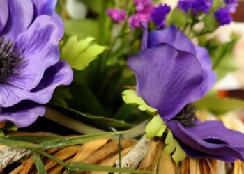 flower 3373845 960 720.jpg