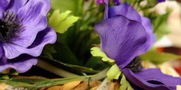 flower 3373845 960 720.jpg