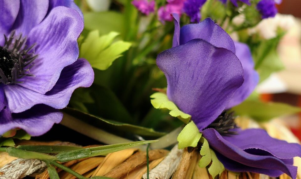 flower 3373845 960 720.jpg