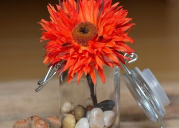 flower 689330 960 720.jpg