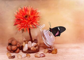 flower 689334 960 720.jpg