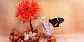 flower 689334 960 720.jpg