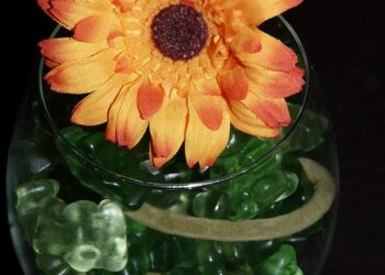 glass 5599 960 720.jpg