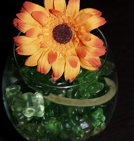 glass 5599 960 720.jpg