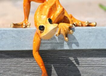 lizard 4596802 960 720.jpg