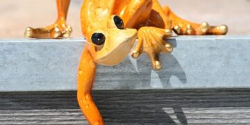 lizard 4596802 960 720.jpg