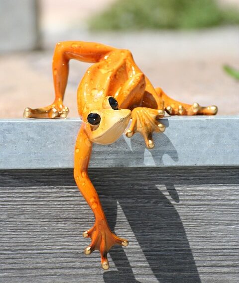 lizard 4596802 960 720.jpg