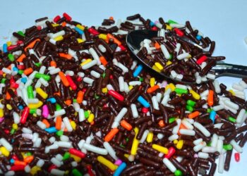 meises 656082 960 720.jpg