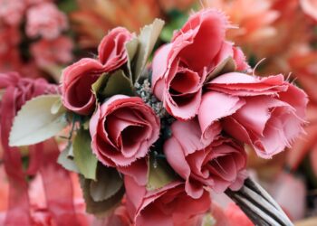 montenegro 2429140 960 720.jpg