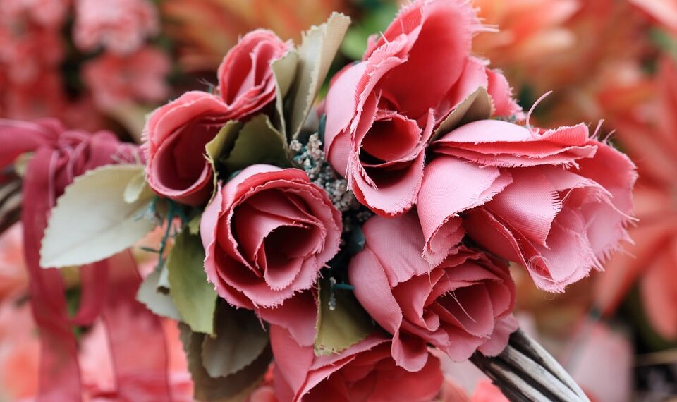 montenegro 2429140 960 720.jpg