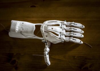 prostetic 1273183 960 720.jpg