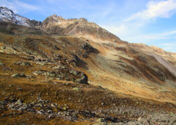 The World’s Most Culturally Similar Countries 

 Australia ⇌  New Zealand
 India