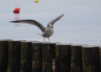 sea 2877937 960 720.jpg