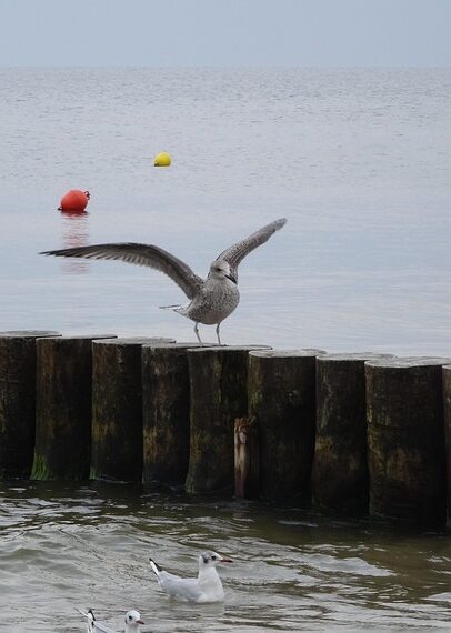 sea 2877937 960 720.jpg