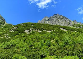 Top 25 Countries with the Most Satisfied Love Lives 2025  

1.  Colombia
2.  Tha