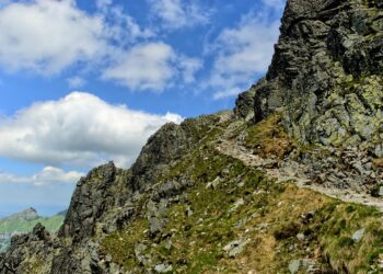 100 Must-Know Units and Conversions Explained Simply 

1. 1 kilo = 1000 grams
2.