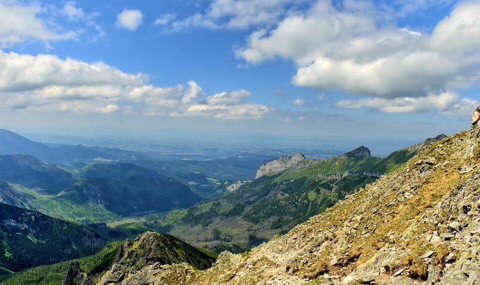 50 Greatest Military Units in History
1. Roman Legions
2. Ottoman Janissarie