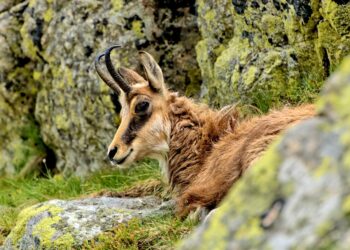 Top 100 All Time T20 Batsmen 

1,  Abhishek Sharma
2,  Dawid Malan
3,  Suryakuma