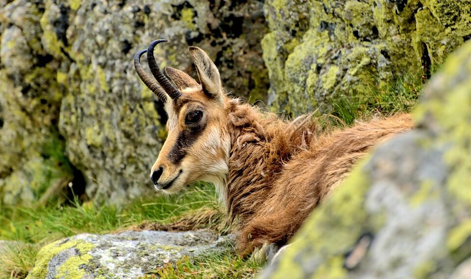 Top 100 All Time T20 Batsmen 

1,  Abhishek Sharma
2,  Dawid Malan
3,  Suryakuma