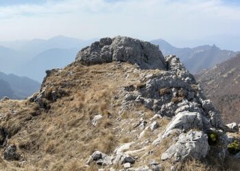 Most influential Black People in History

1.  Mansa Musa
2.  Nelson Mandela
3.