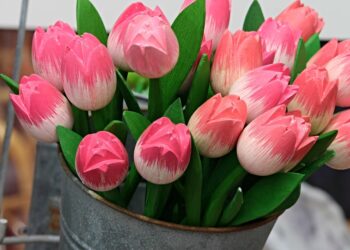 tulips 3495349 960 720.jpg