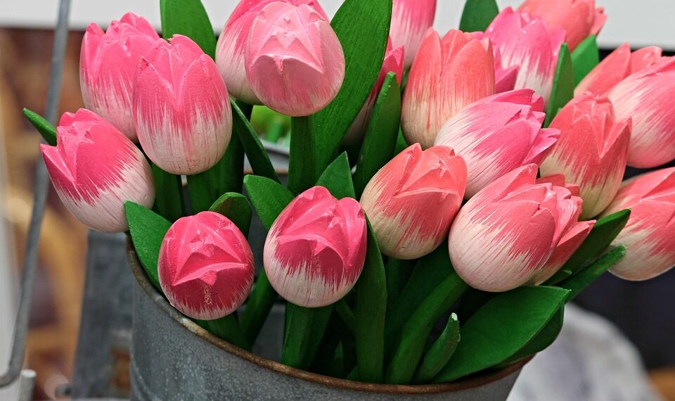 tulips 3495349 960 720.jpg