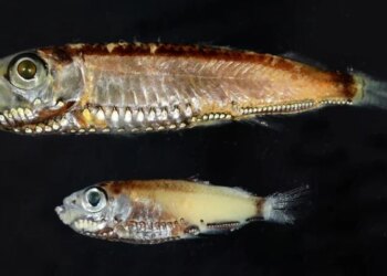 651730 8190860 updates.jpg