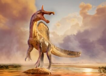 651926 6051510 updates.jpg