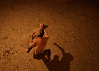 All Controls and Their Functions in Half Sword Completing and Solving