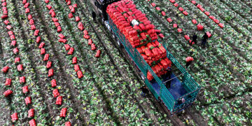 China Implements New Steps to Boost Farmers’ Earnings
