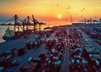 China Releases Its First Comprehensive WTO Reform Policy Document