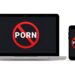 Countries Where Pornography Is Illegal.

1.  China  
2.  Indonesia  
3.  Pakista