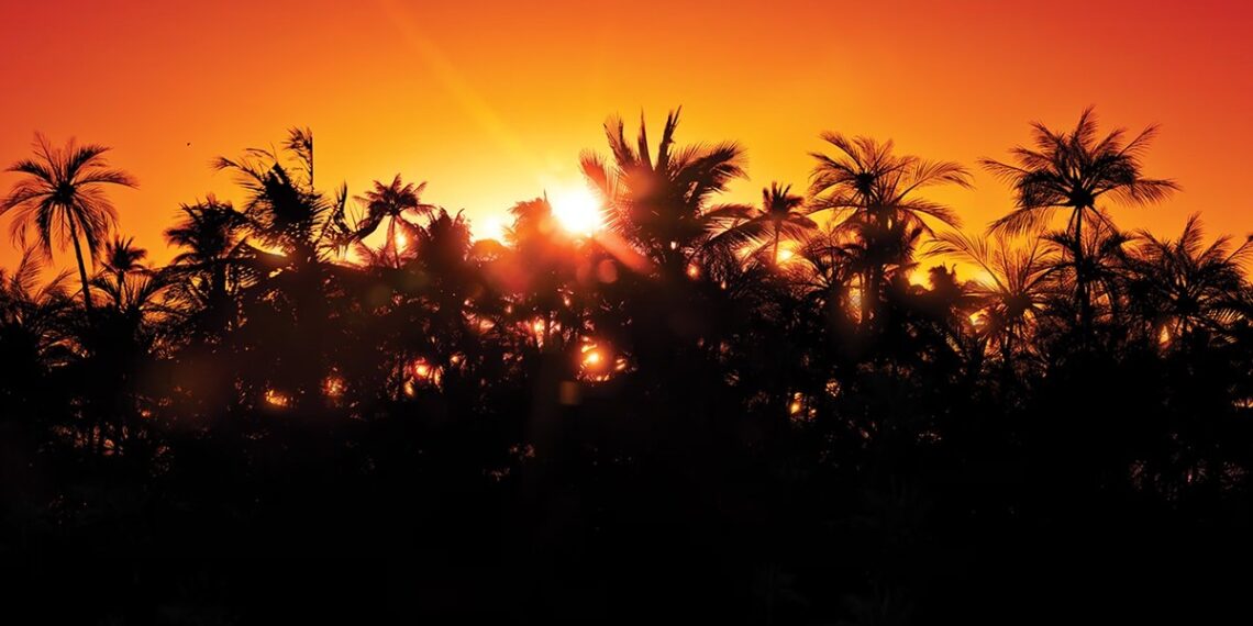 Fun PS5 Games Collection – 75% Off Before Removal