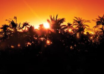 Fun PS5 Games Collection – 75% Off Before Removal