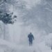 Historic Blizzard Dumps Record Snow on US Northeast