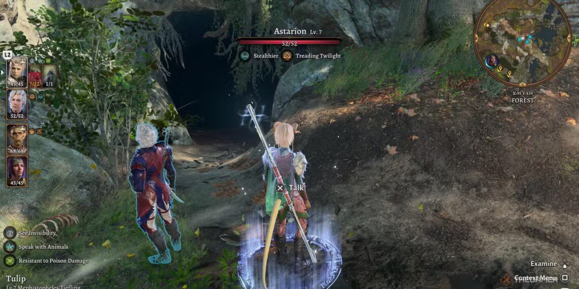 How to Get the Owlbear Cub in Baldur's Gate 3: Completing and Solving