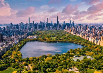 Top 20 Cities with the Most Millionaires 

1.  New York City – 384,500
2.  The B