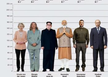 Height of World Leaders

 Donald Trump - 190 cm (6'3")
 Fidel Castro - 190 cm (6