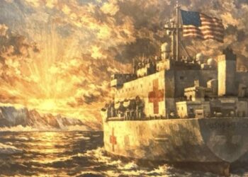 Trump Announces Sending Hospital Boat to Greenland