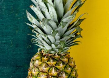 What Pineapple is Called in Different Languages 

 English: Pineapple  
 French