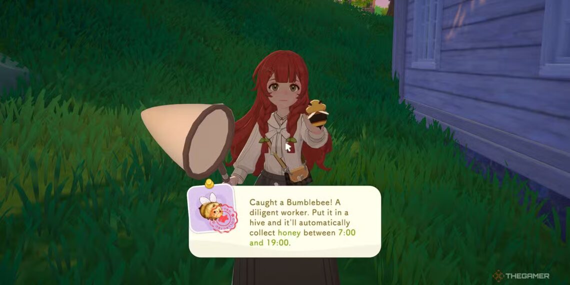 Where To Find Every Bug in Starsand Island While Completing the Game